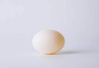 孕妇吃鸽子蛋的好处