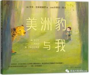 孩子胆小怕事怎么办？有关“勇气”的绘本推荐