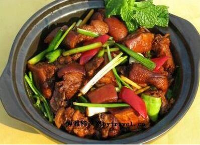 适合孕妇吃的狗肉食谱