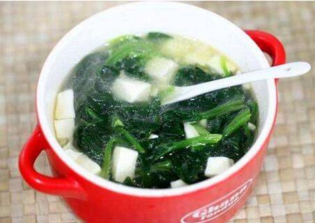 菠菜不可以和什么一起吃