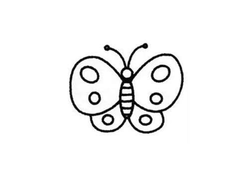 两种蝴蝶简笔画画法教程图片
