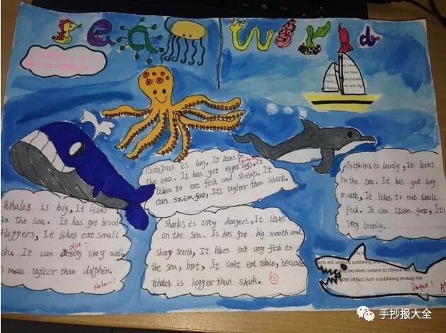海底世界手抄报内容图片大全