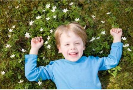 诗经楚辞里寓意好的字