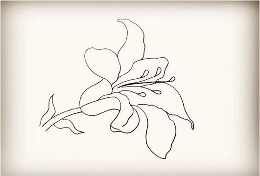 百合花简笔画教程图片