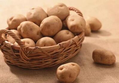 土豆发芽了还能吃吗