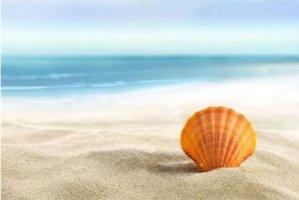 最好听的男生英文名字大全