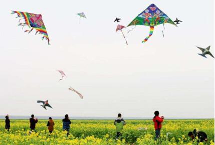 小学生放风筝作文300字优秀10篇