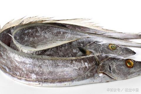 常吃的海鱼有哪些