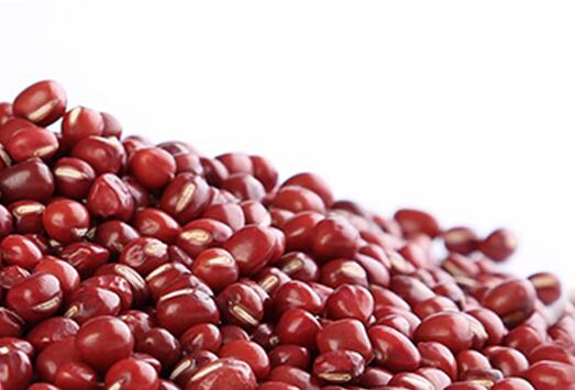 女性去湿气最快的方法