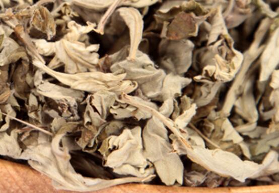 女性去湿气最快的方法