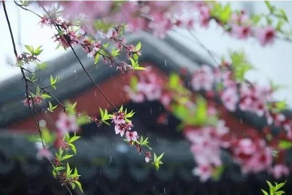 诗经楚辞中的150个最唯美的名字