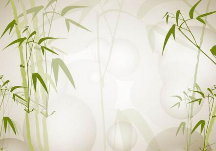 关于竹子的作文