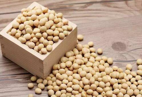 吃什么补充黄体酮