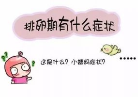 女性排卵期的八个征兆