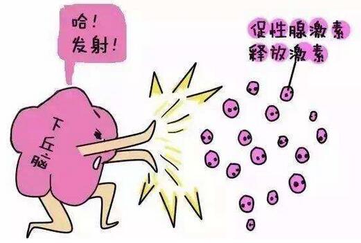 一文助你掌握促排卵药物