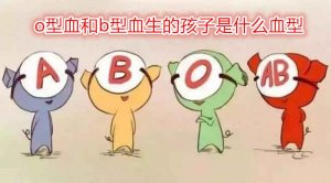 o型血和b型血生的孩子是什么血型