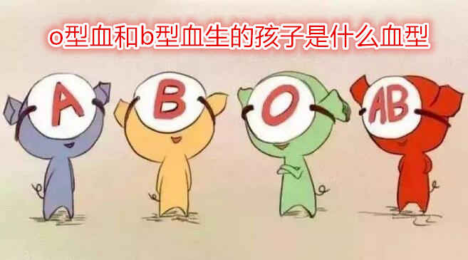 o型血和b型血生的孩子是什么血型