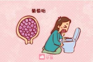 为什么会出现葡萄胎的原因
