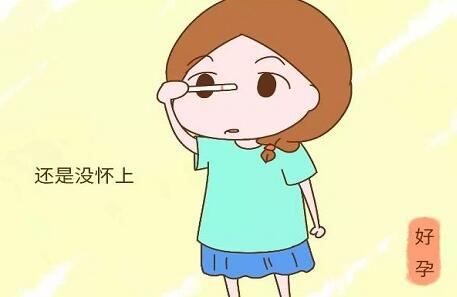 女性不孕不育的原因有哪些