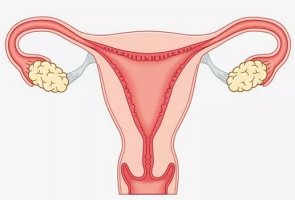 恶露是什么？产后恶露不尽怎么办？