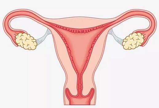 恶露是什么？产后恶露不尽怎么办？