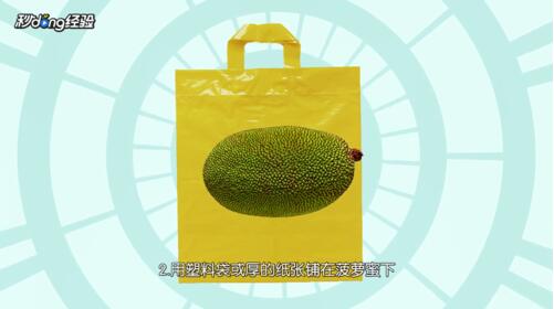 菠萝蜜怎么剥视频教程