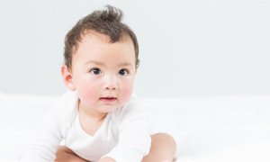 2020鼠年贾姓宝宝取名