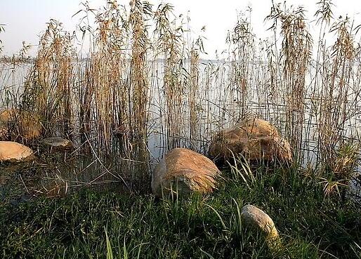 粗糙的反义词是什么