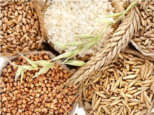 孕妇不能吃什么东西