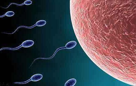 精子可以吃吗?有什么功效