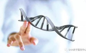 做dna亲子鉴定需要多少钱