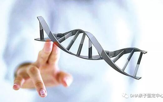 做dna亲子鉴定需要多少钱