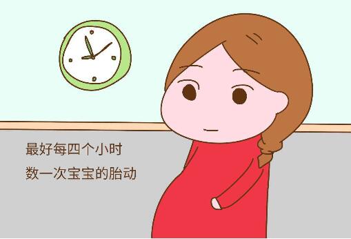 胎动什么时候频繁