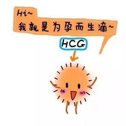 同房后几天能测出怀孕