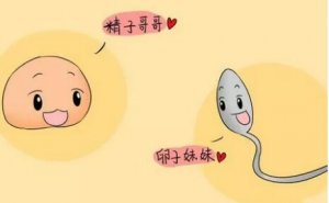 同房后几天能测出怀孕