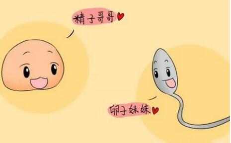 同房后几天能测出怀孕