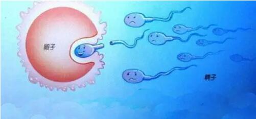 同房后多久能测出怀孕