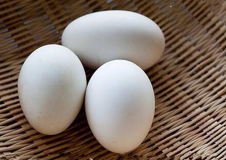 鹅蛋不能和什么一起吃