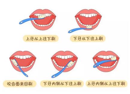 婴儿多大开始刷牙