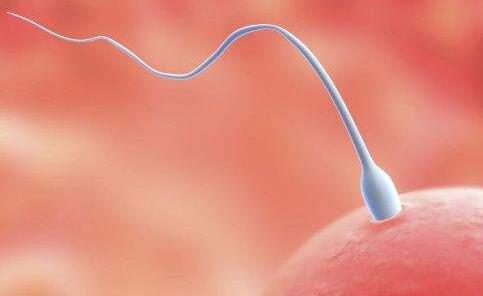 人工受精双胞胎费用