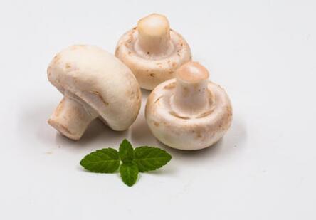 如何挑选新鲜口蘑