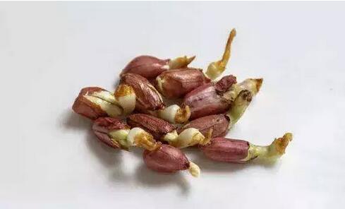 发芽的花生：不建议食用