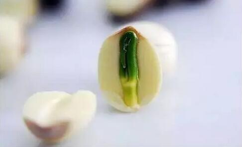 发芽的莲子：可食用