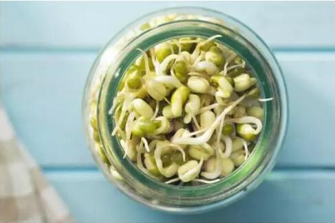 发芽的黄豆、绿豆：可食用
