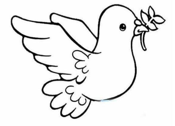 和平鸽简笔画怎么画？这样的画法简单又好看