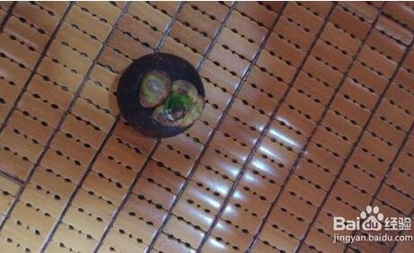 山竹怎么剥皮图解