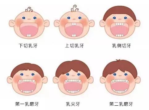 这些儿童换牙注意事项