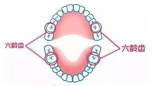 这些儿童换牙注意事项