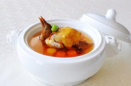 产妇鸽子汤的做法