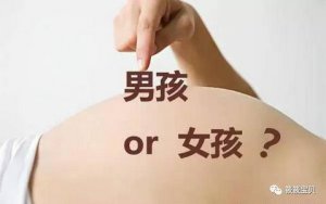 b超单子怎么看男女